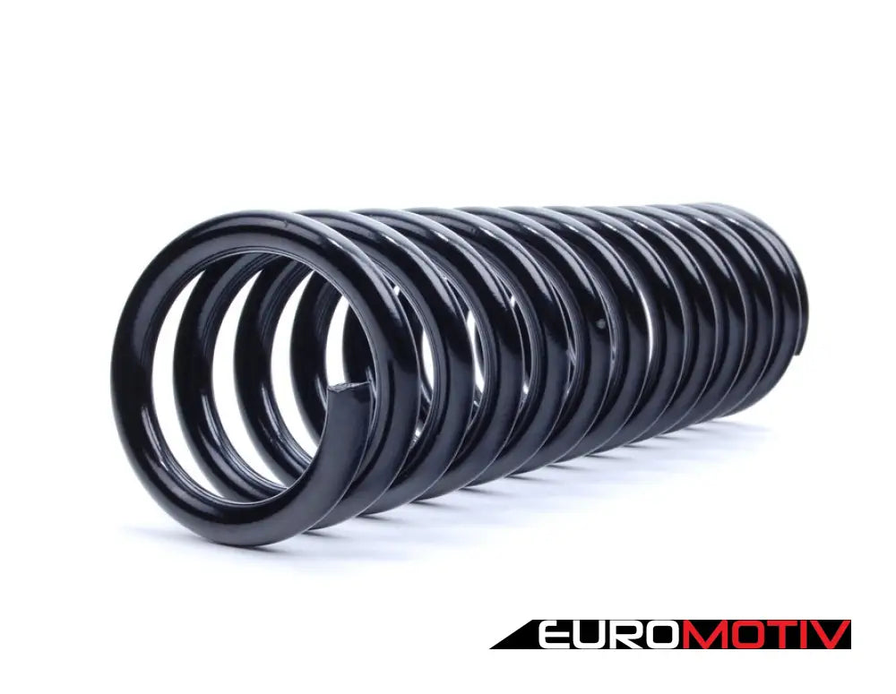 Front Coil Spring - Priced Each