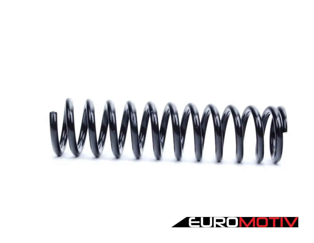 Front Coil Spring - Priced Each