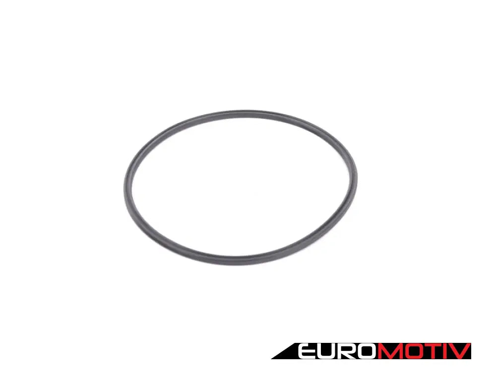 Fuel Pump Seal