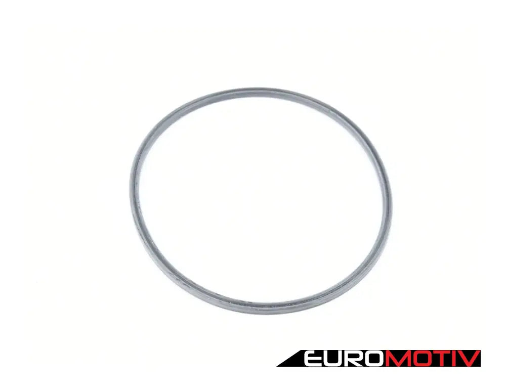 Fuel Pump Seal