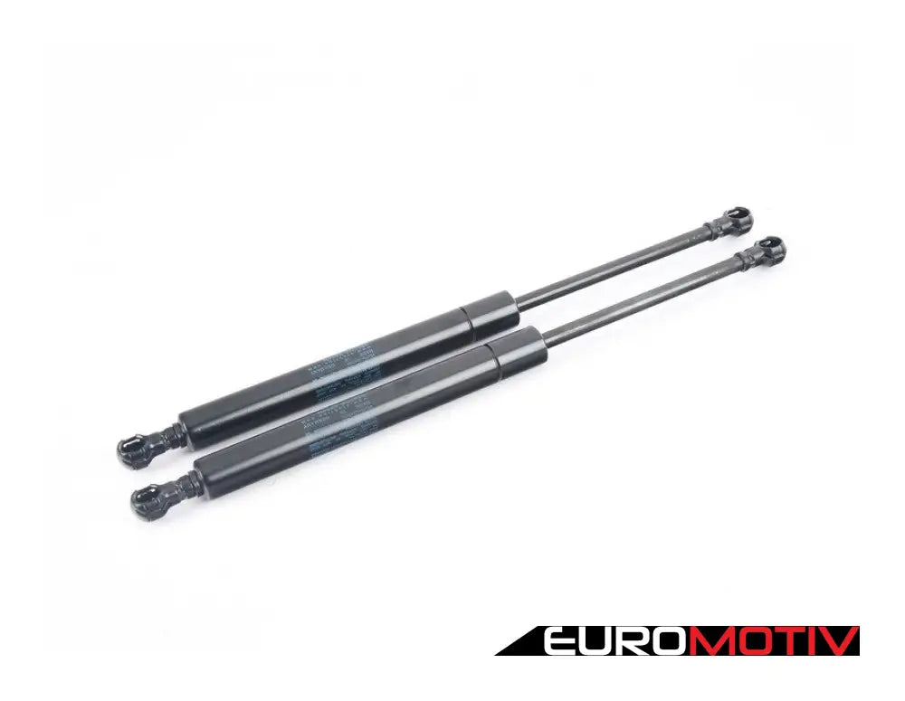 Hood And Trunk Strut Set