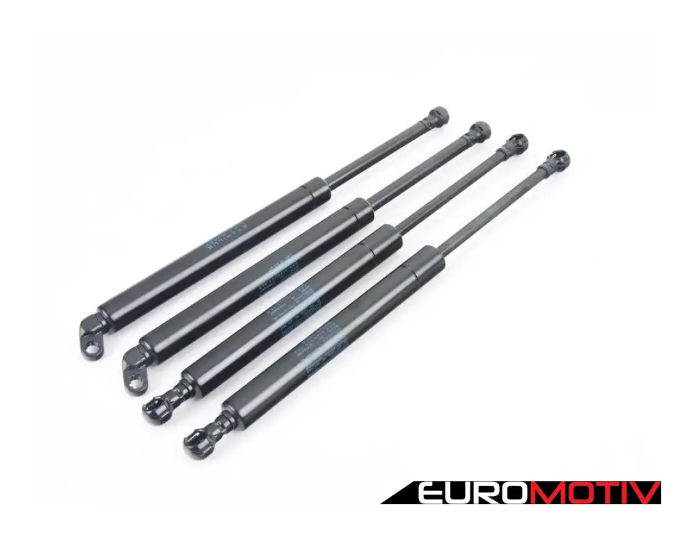 Hood And Trunk Strut Set