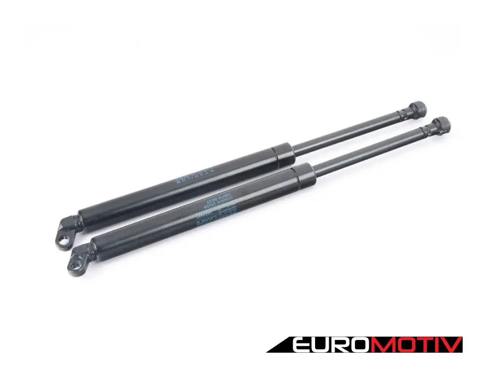 Hood And Trunk Strut Set