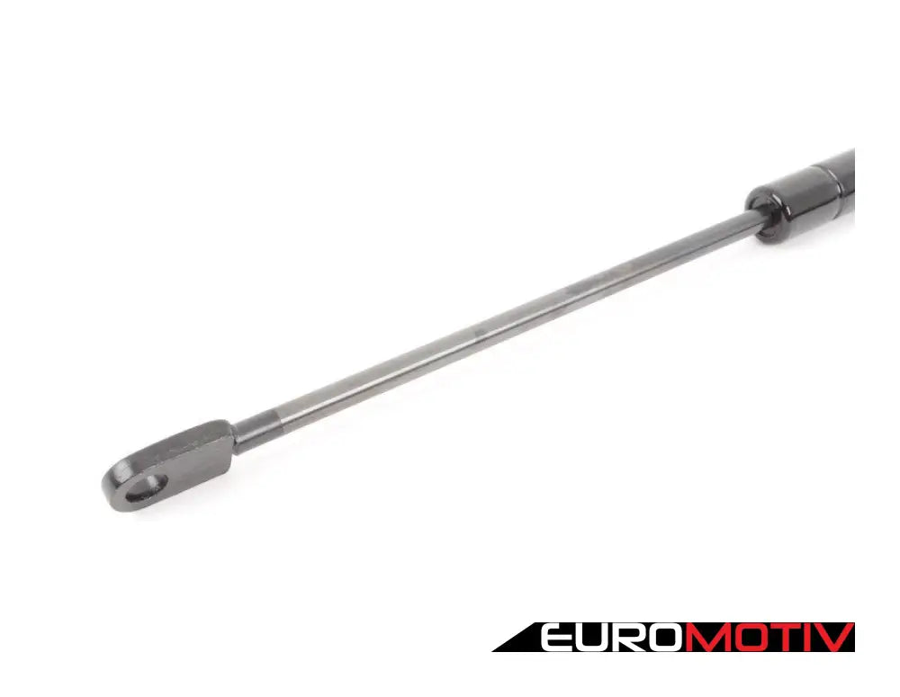 Hood Gas Strut - Priced Each