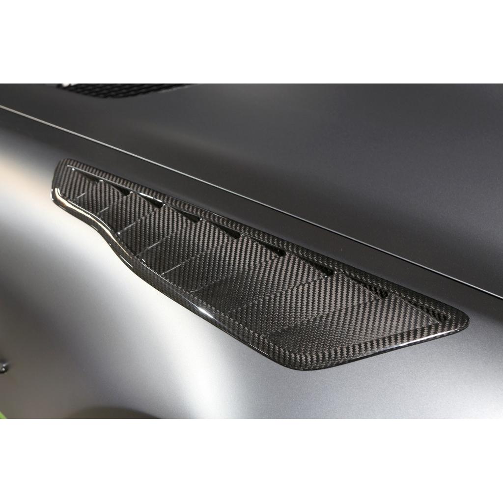 Mercedes Benz AMG GTR Pro Fender Vents 2020