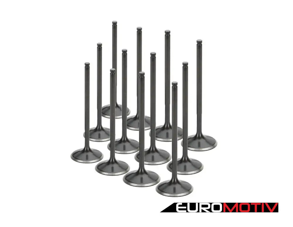 Intake Valve Set - Black Nitride Oversize