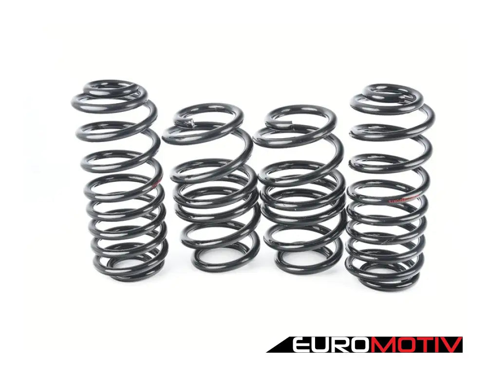 Jhm S-Series Lowering Springs