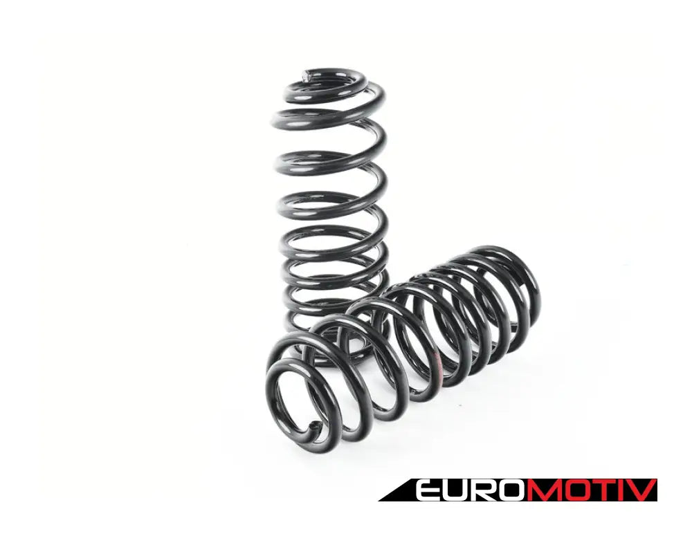 Jhm S-Series Lowering Springs