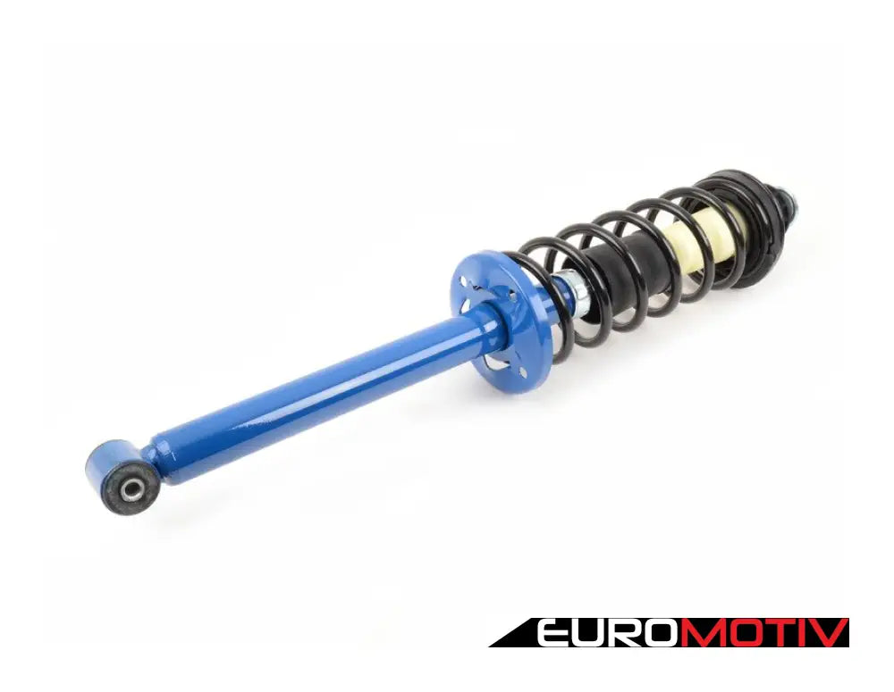 Loaded Rear Strut Assembly - Priced Each