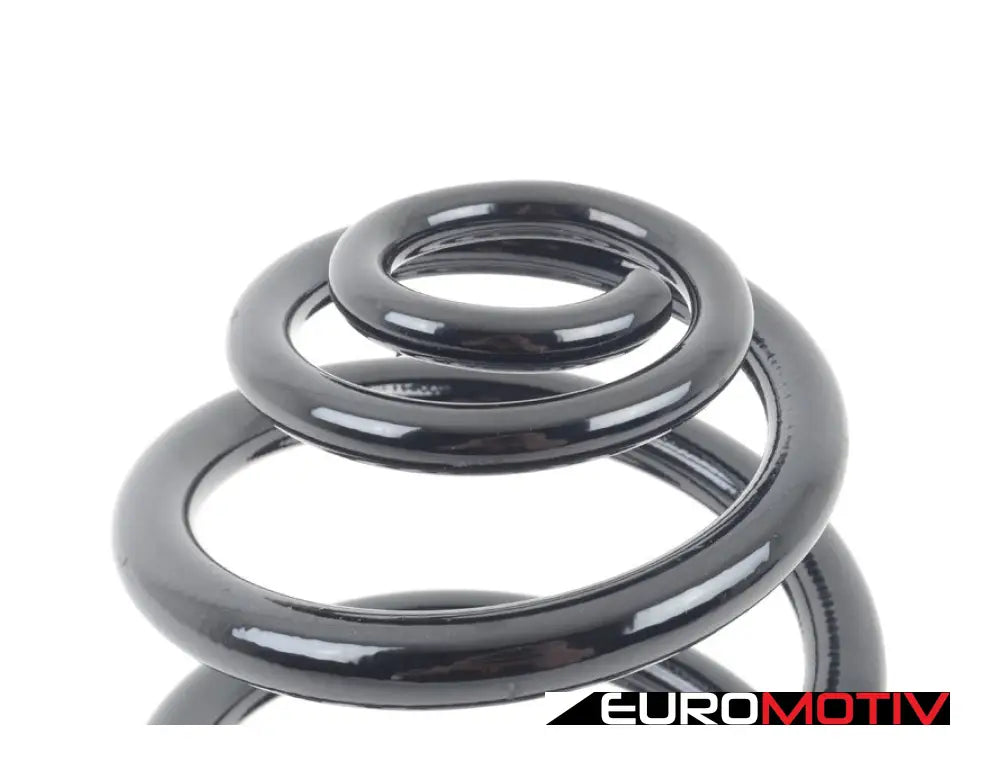 Rear Coil Spring - Heavy Duty