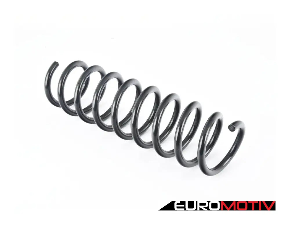 Rear Coil Spring - Heavy Duty