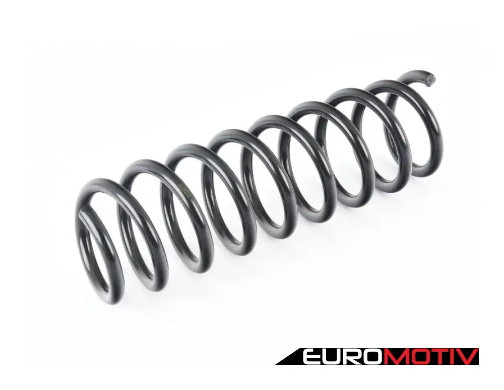 Rear Coil Spring - Heavy Duty