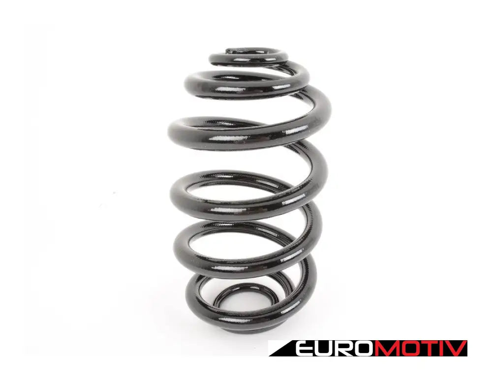 Rear Coil Spring - Heavy Duty