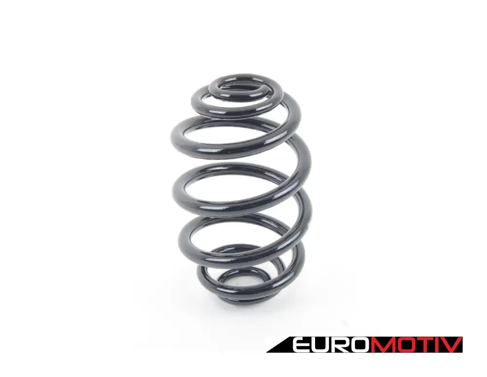 Rear Coil Spring - Heavy Duty