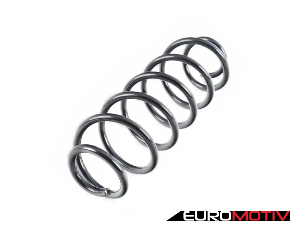 Rear Coil Spring - Priced Each