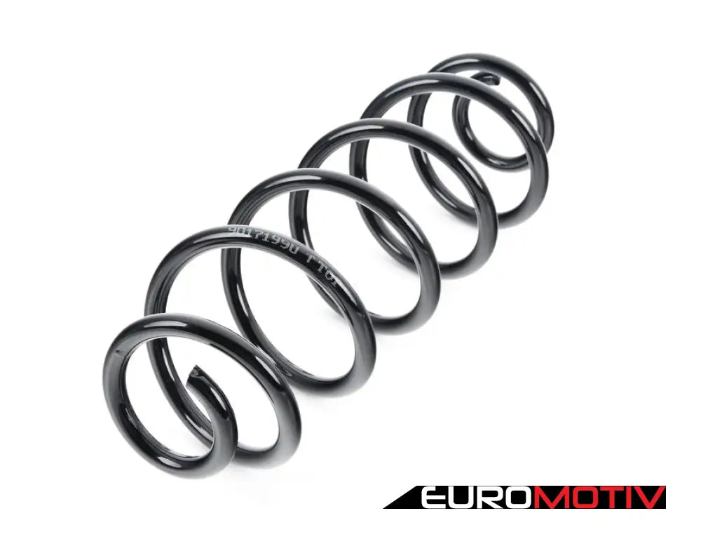 Rear Coil Spring - Priced Each