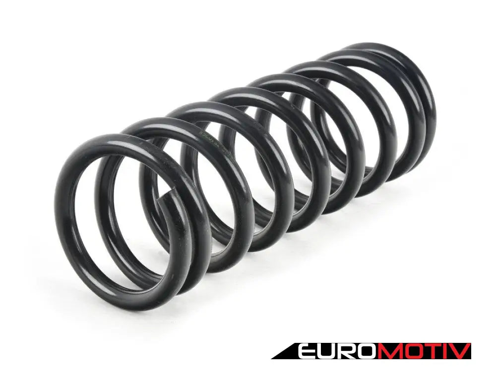 Rear Coil Spring - Priced Each