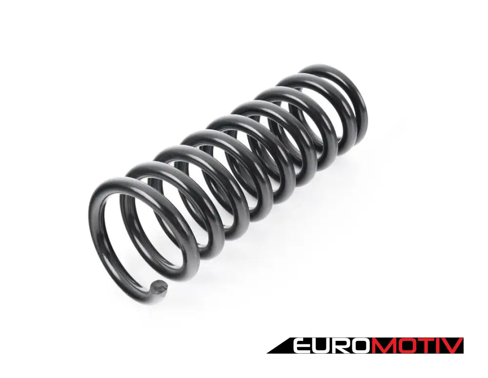 Rear Coil Spring - Priced Each