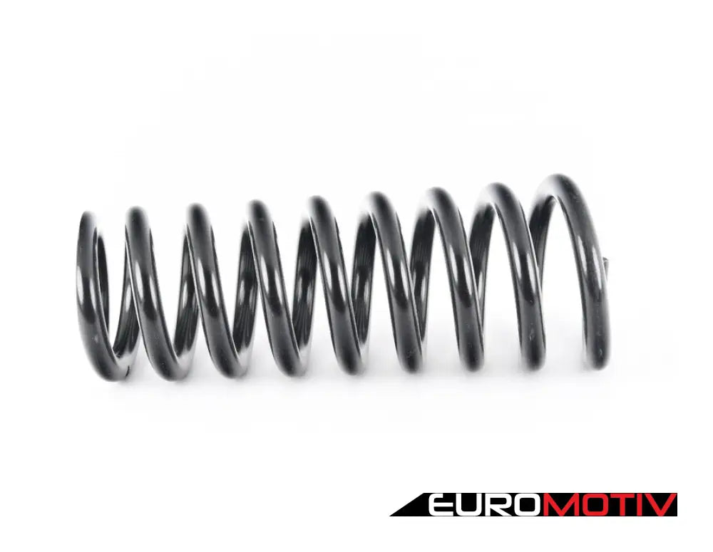 Rear Coil Spring - Priced Each