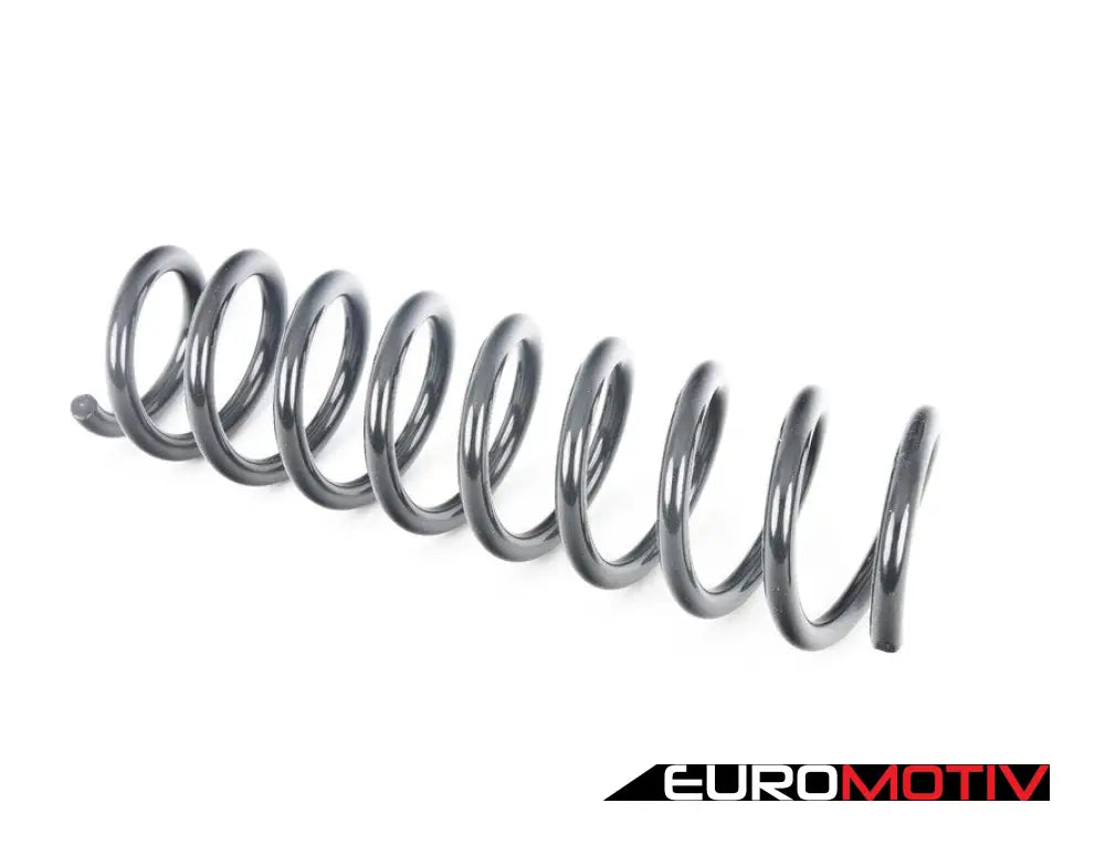 Rear Coil Spring - Priced Each