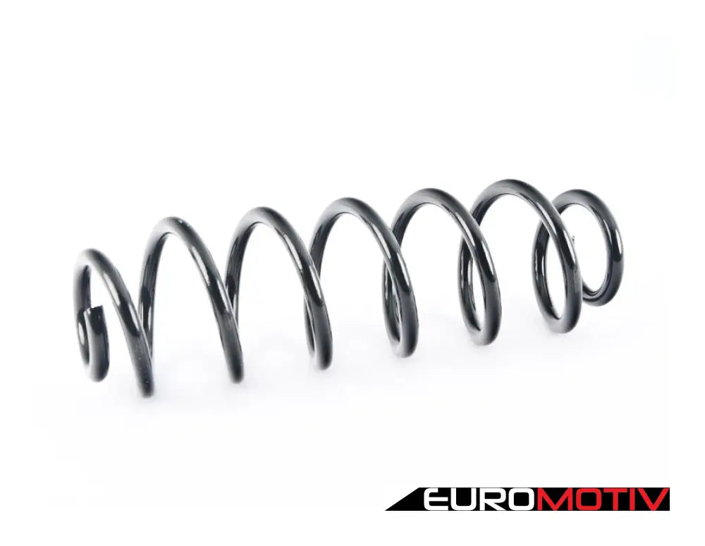 Rear Coil Spring - Priced Each