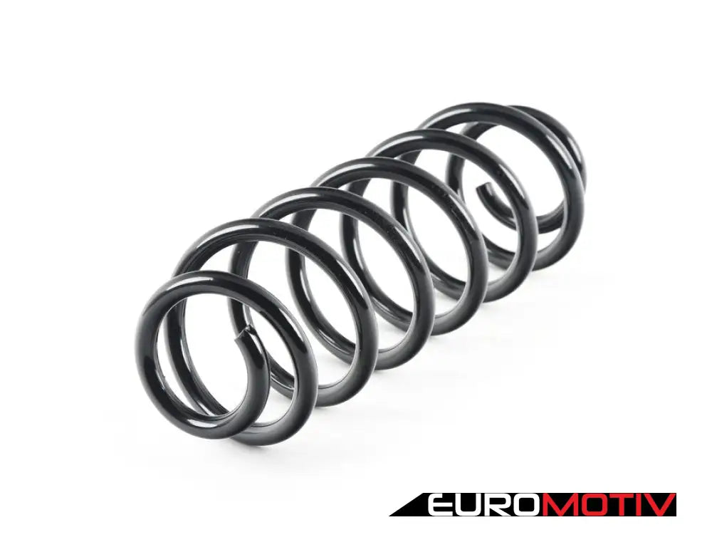 Rear Coil Spring - Priced Each