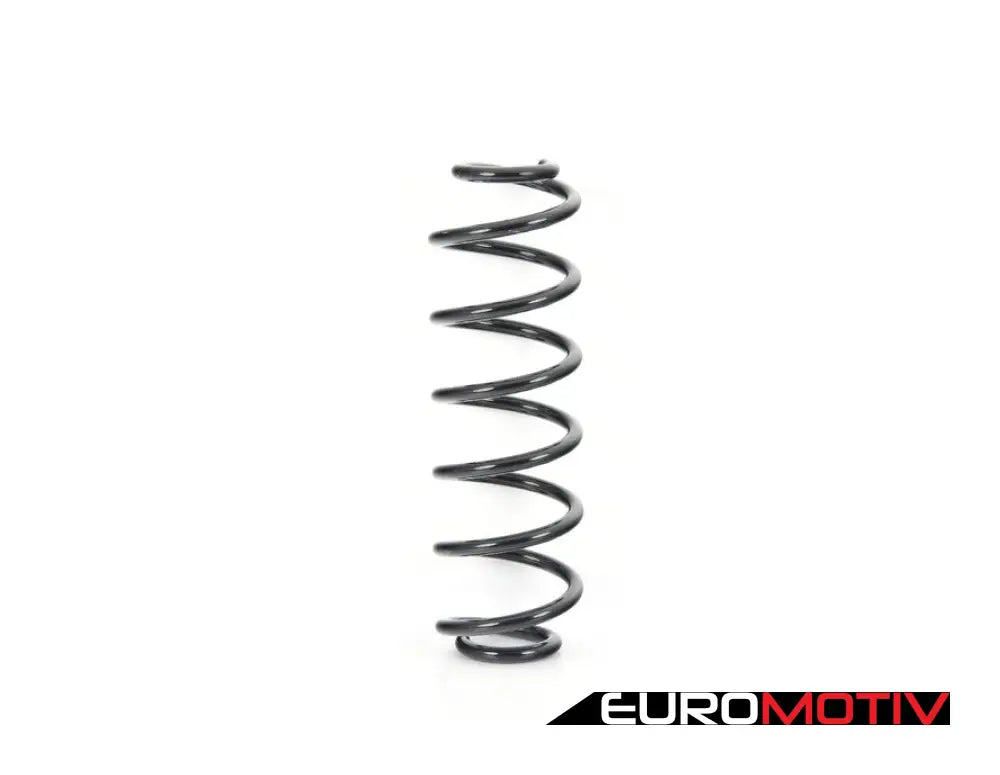 Rear Coil Spring - Priced Each