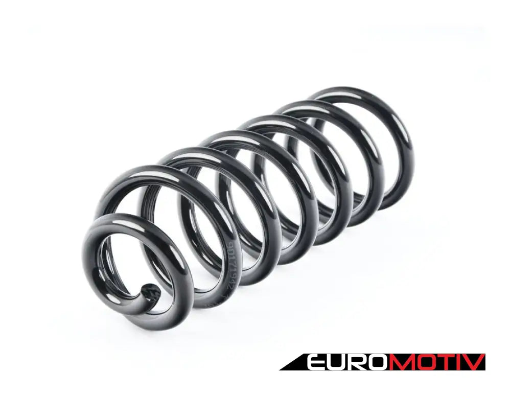 Rear Coil Spring - Priced Each