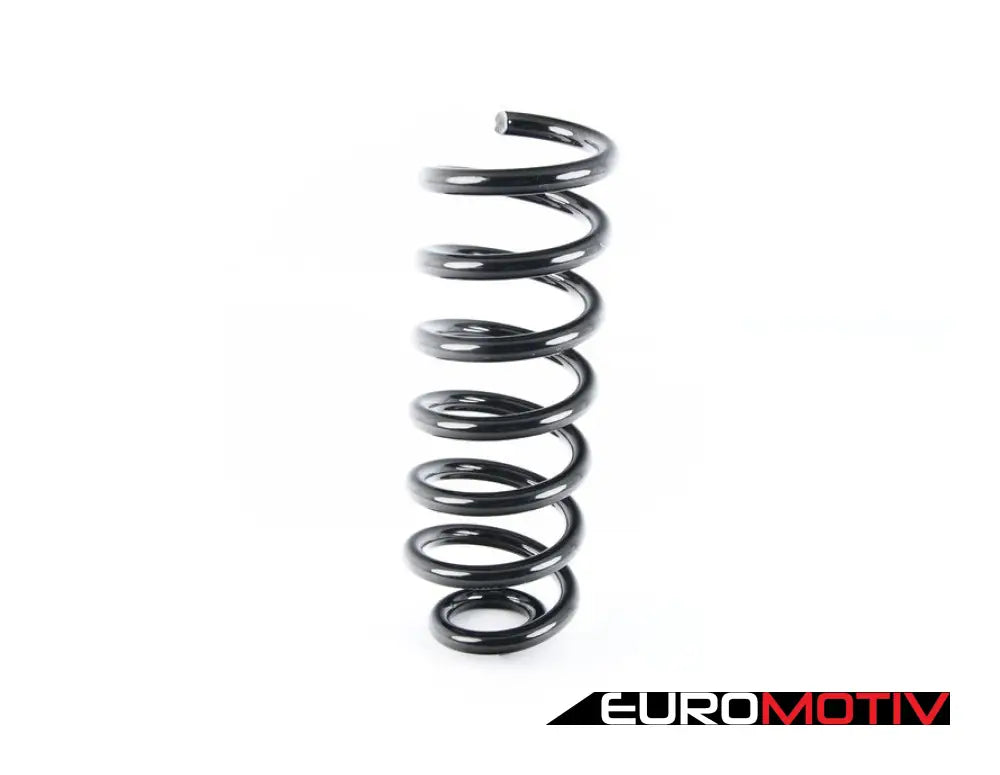 Rear Coil Spring - Priced Each