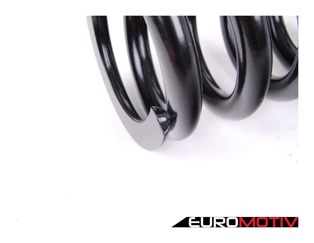 Rear Coil Spring - Priced Each