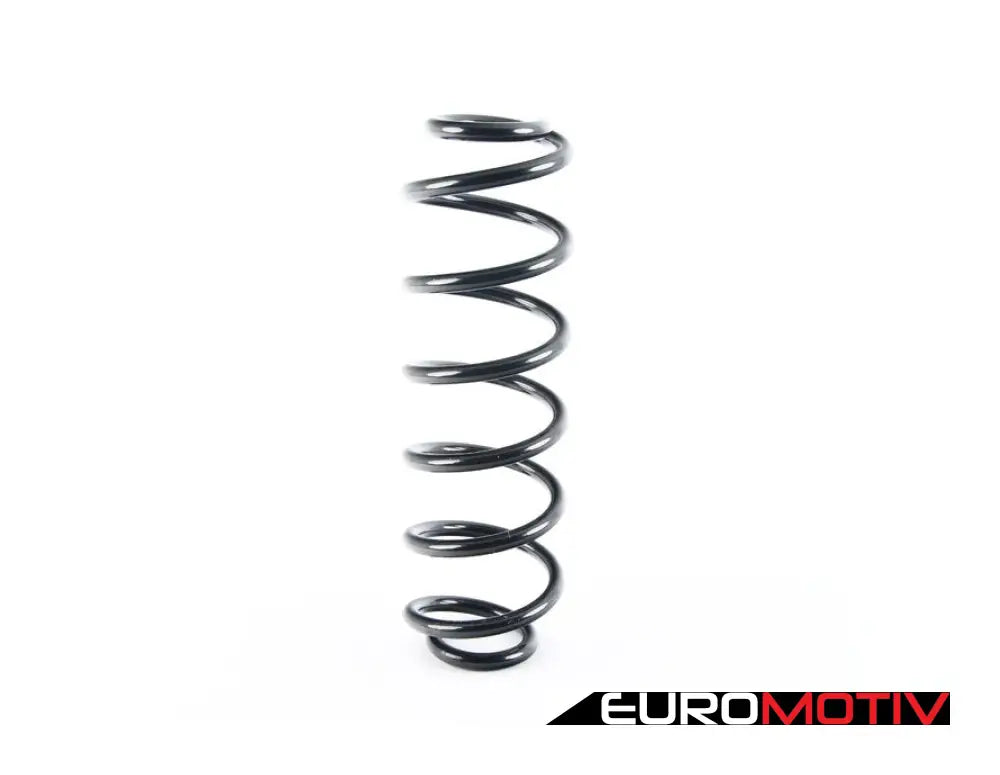 Rear Coil Spring - Priced Each