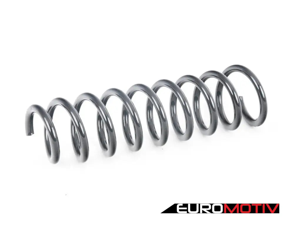 Rear Coil Spring - Priced Each