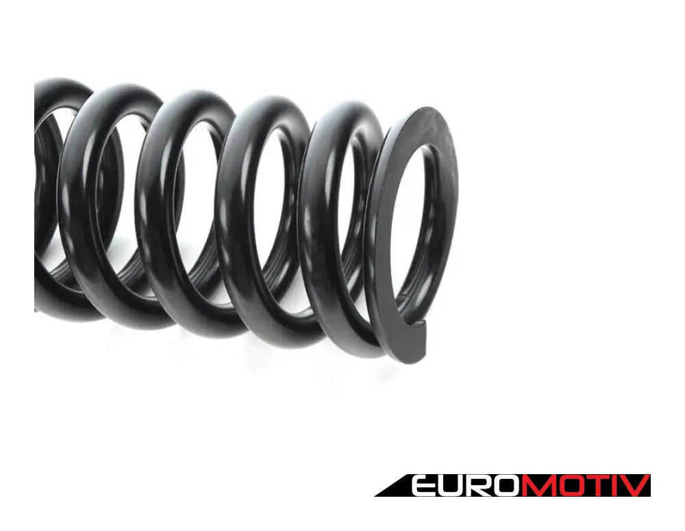 Rear Coil Spring - Priced Each