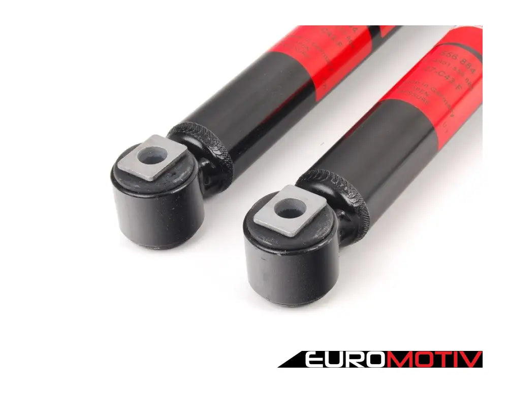 Rear Shock Absorber - Pair