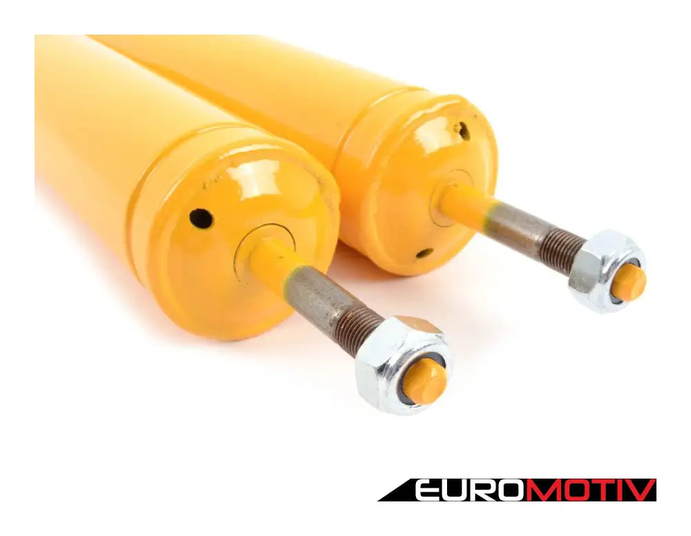 Rear Shock Absorber - Set