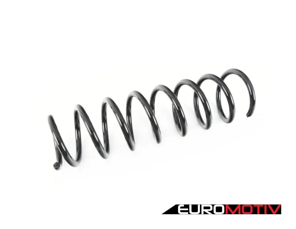 Rear Sport Spring