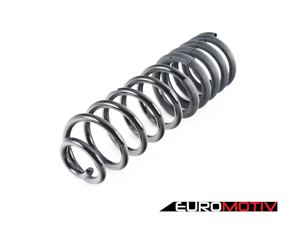 Rear Spring - Priced Each