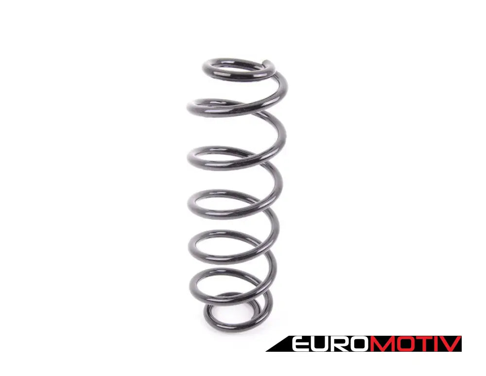 Rear Spring - Priced Each