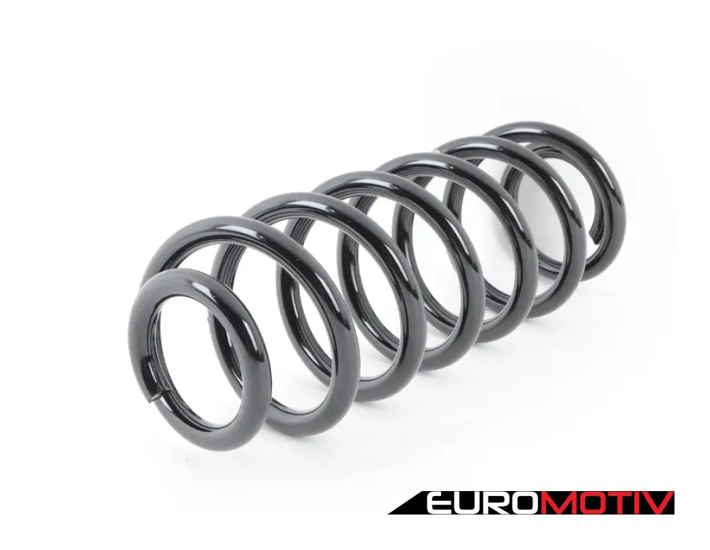 Rear Spring - Priced Each