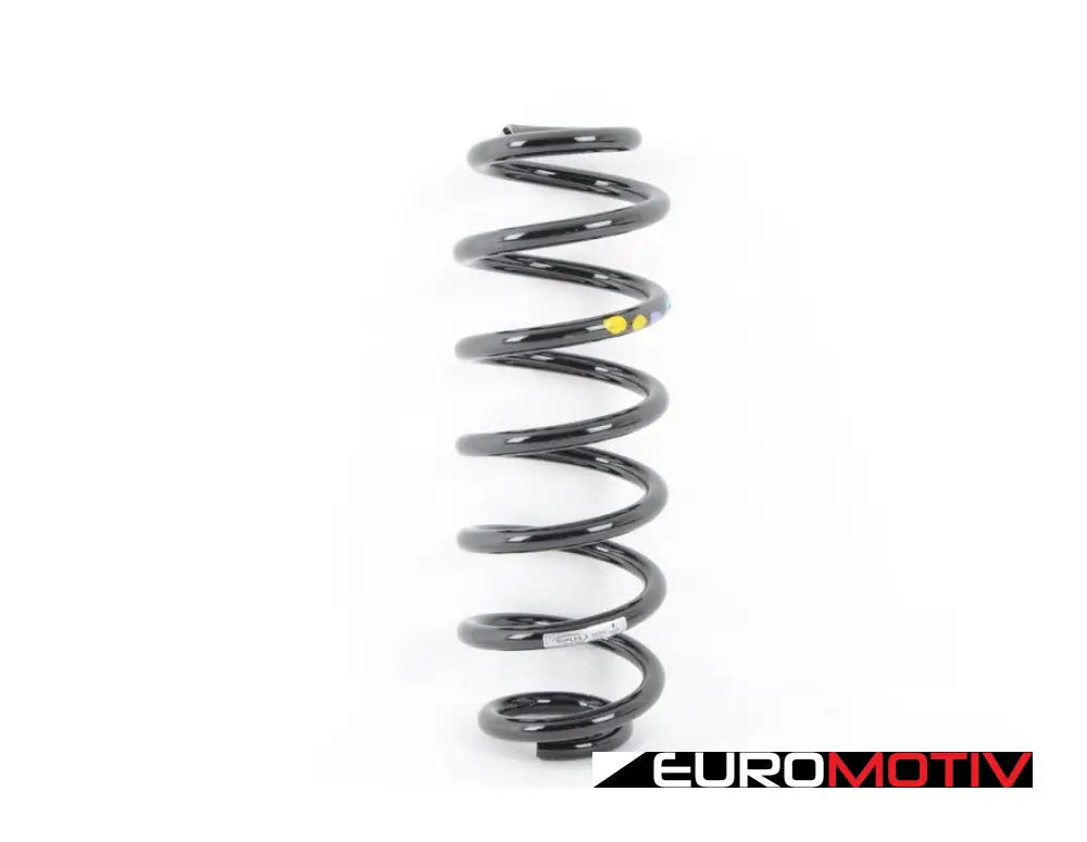 Rear Spring - Priced Each