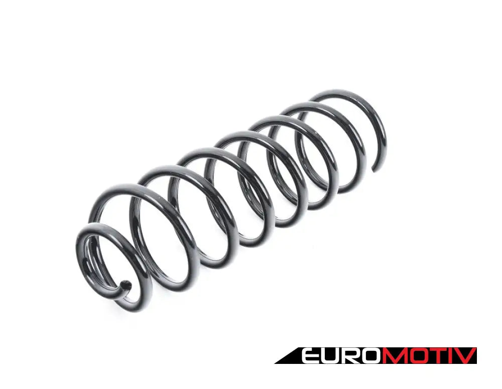 Rear Spring - Priced Each