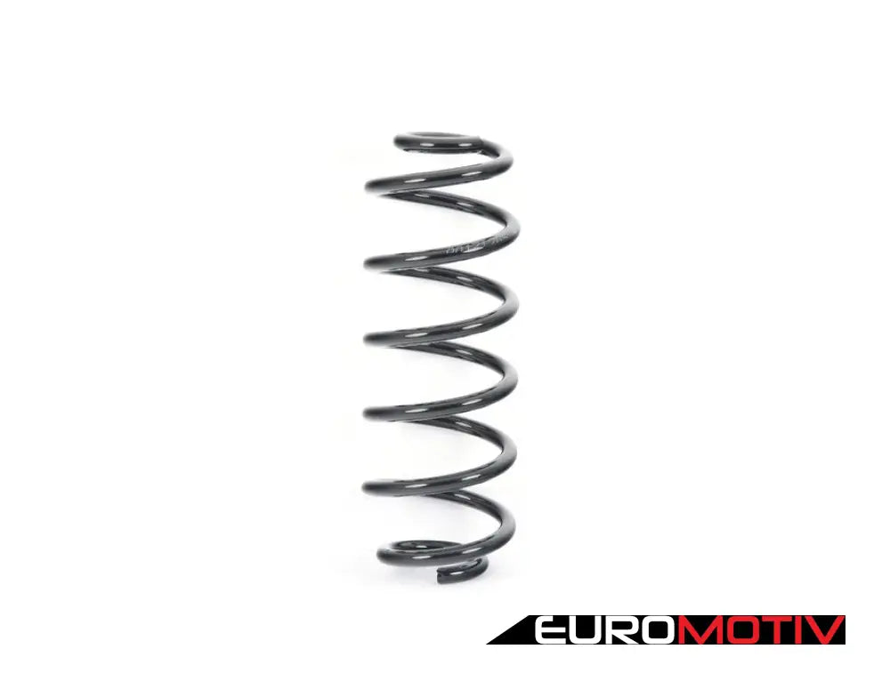 Rear Spring - Priced Each