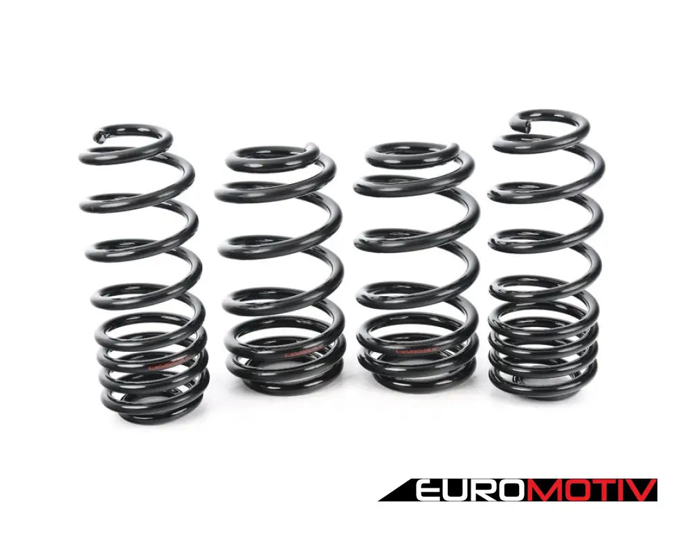 S Series Lowering Springs