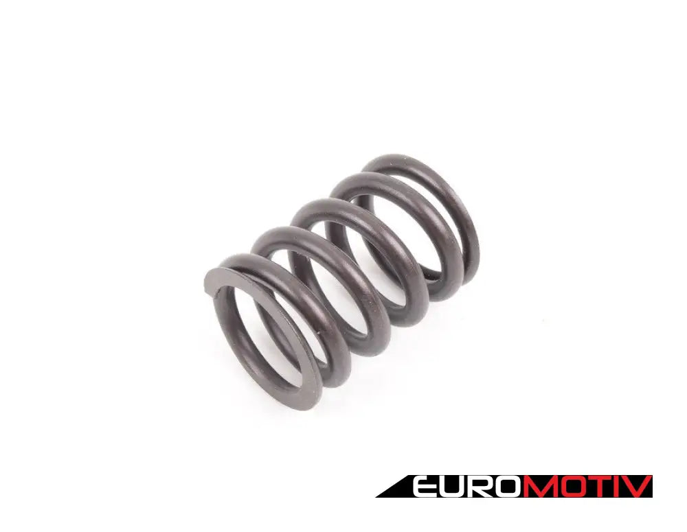 Schrick Camshaft - 304 Degree & Valve Springs