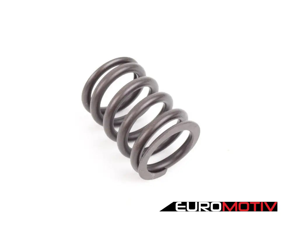 Schrick Camshaft - 304 Degree & Valve Springs