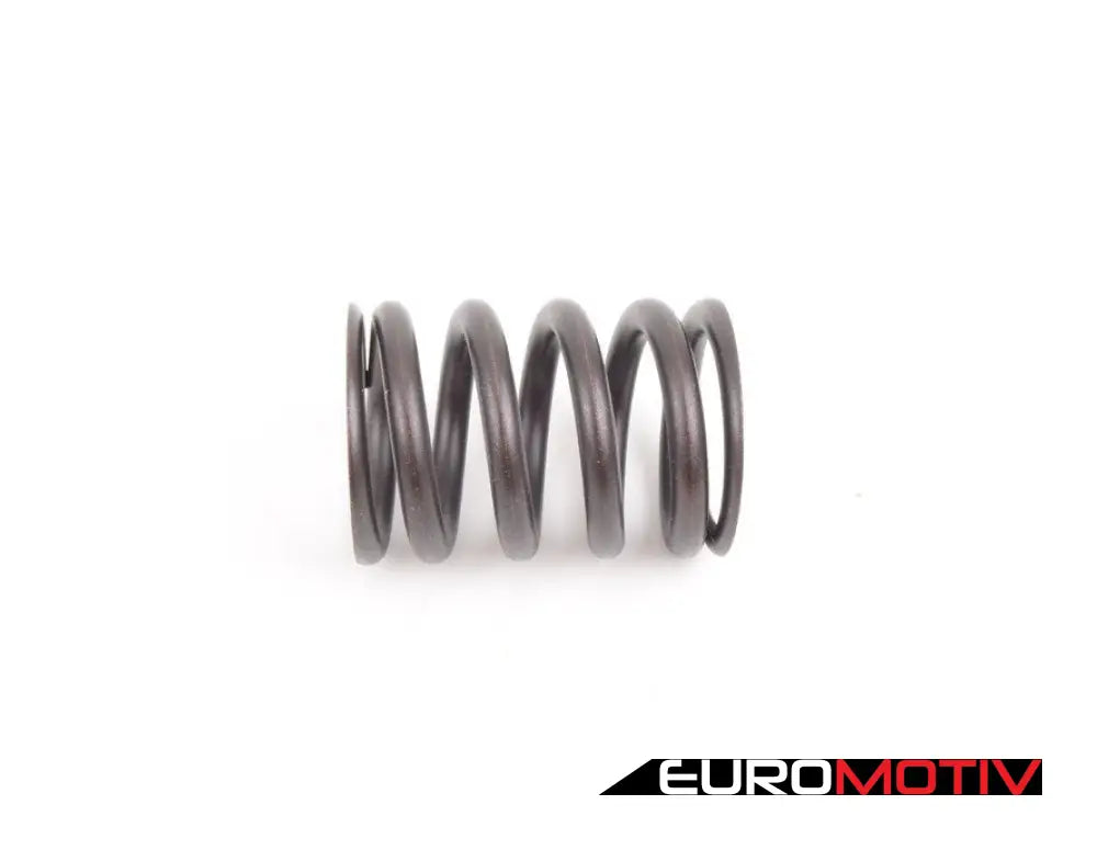 Schrick Camshaft - 304 Degree & Valve Springs