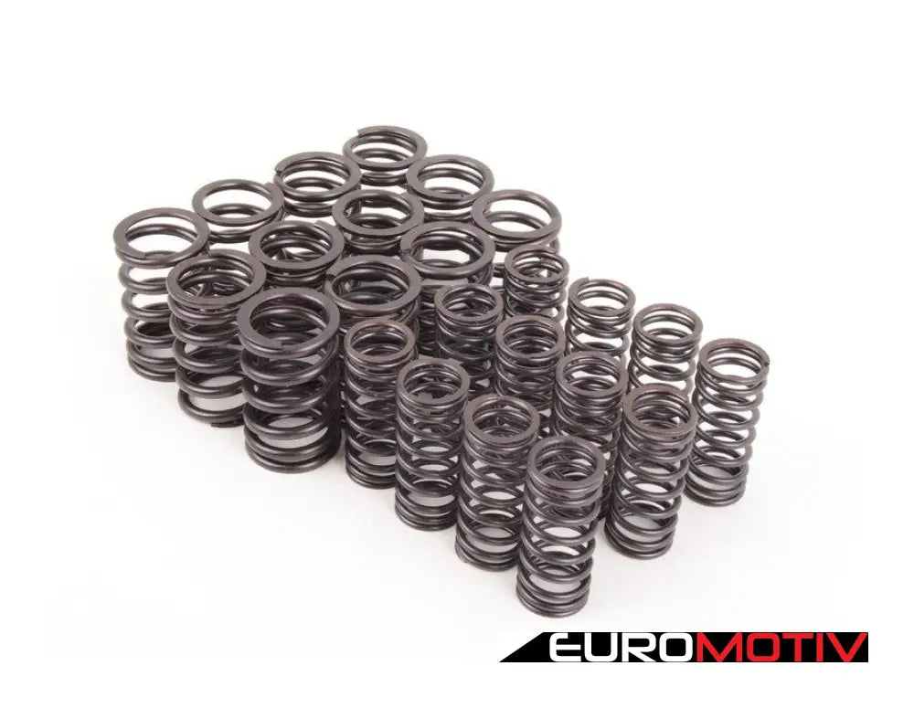 Schrick Performance Valve Spring Set