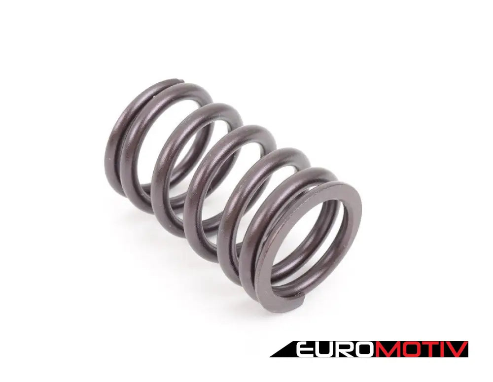 Schrick Performance Valve Spring Set