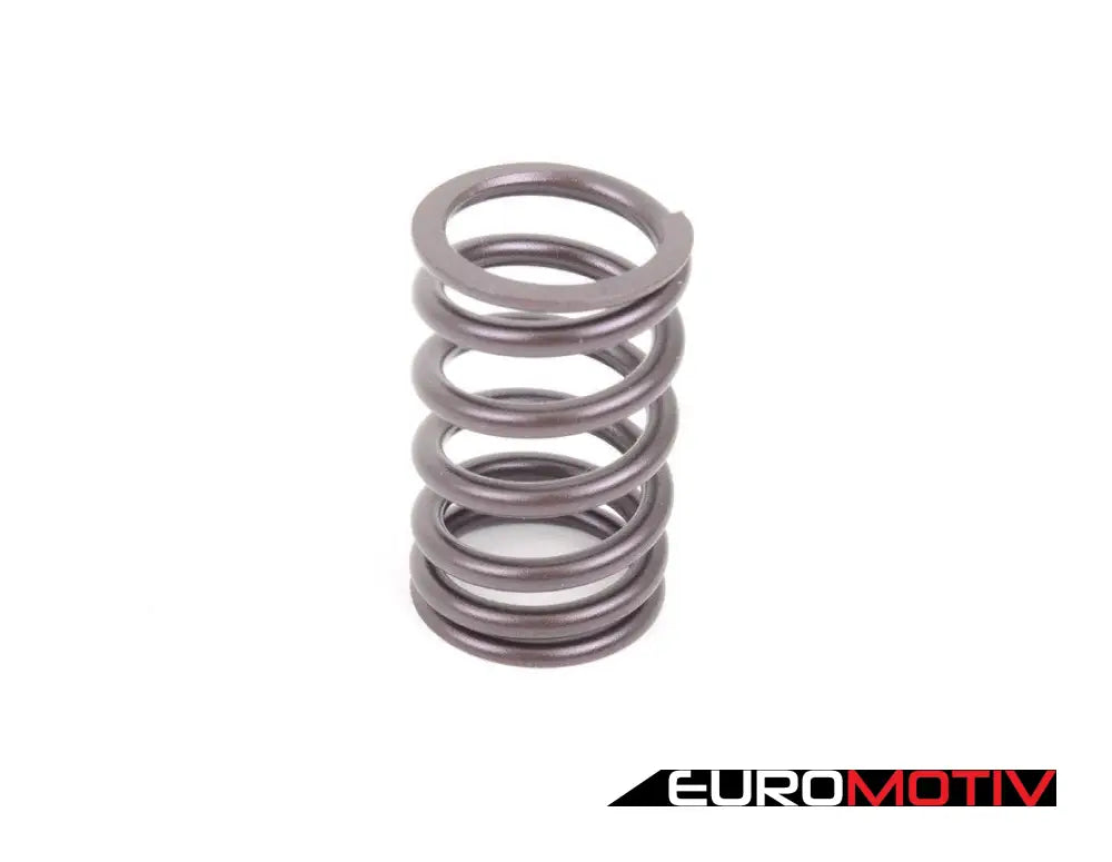 Schrick Performance Valve Spring Set