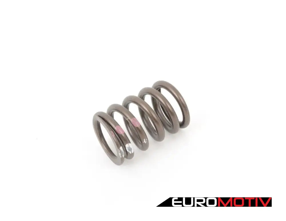 Schrick Valve Spring (Single Spring)